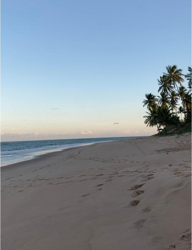 Praia Do Forte- Iberostar- Ap Luxuoso 3 Qts Mata de Sao Joao Eksteriør bilde